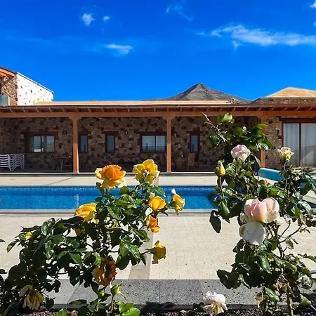 Pink - Blossom Double In Barbuja Daire